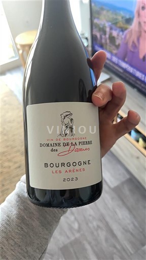 Borgogna Domaine La Pierre des Dames Les Arènes 2023