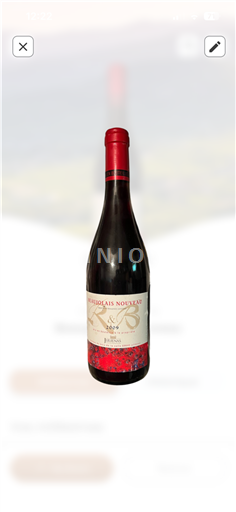 Beaujolais Beaujolais Nouveau Château Juliénas 2009