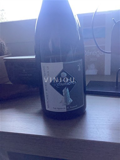 Loirevallei Muscadet-Sèvre-et-Maine Les Vignes de M. Rouault Clos des Rébunières 2023