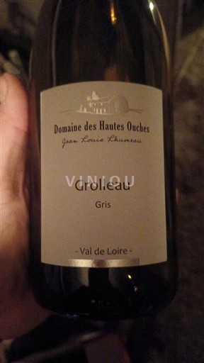 Dolina Loare Domaine S Hautes Ouches Grolleau Gris 2024