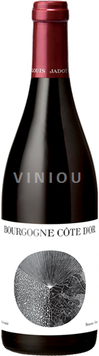 Burgundija Bourgogne zlata obala Louis Jadot 2021