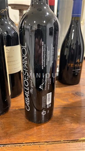 Andalusia Không được chỉ định Caballo Espanol Tempranillo 2018