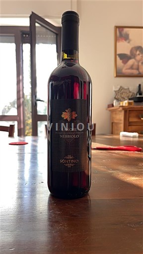 Piemonte Langhe Sontino 2023