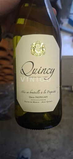 Vallée de la Loire Quincy David Papegay Non Millésimé