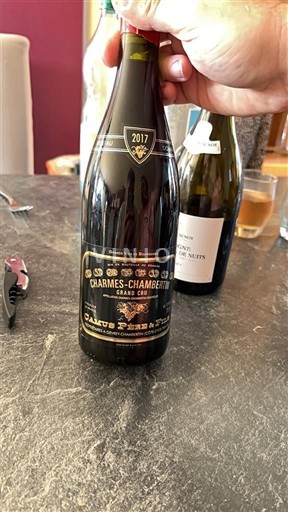 Burgundy Charmes-Chambertin Grand Cru Domaine Gasty Pierre & Fils 2017