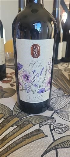 Languedoc in Roussillon Saint-Guilhem-le-Désert Domaine L'Evohé Violette 2024