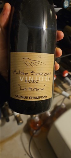 Dolina Loare Saumur-champigny Antoine Sanzay La Paterne 2020