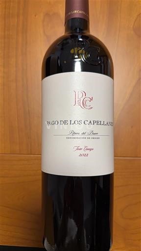 Castilien og León Ribera del Duero Pago de los Capellanes Finca El Nogal 2022