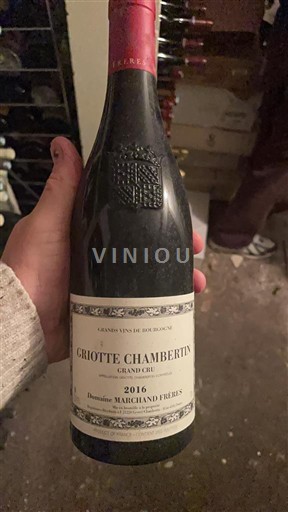 Bourgogne Griotte-Chambertin Grand Cru Domaine Marchand Frères 2016