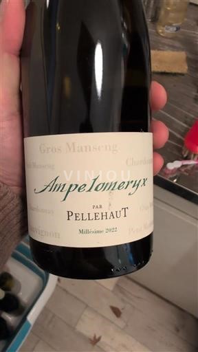 Jugozahod Côtes de Gascogne Domaine Pellehaut Ampelomeryx 2022