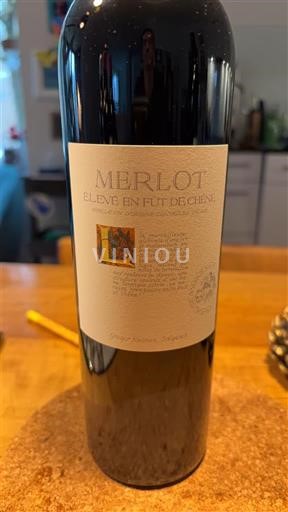 Grisons (Graubünden) Bündner Herrschaft Gregor Kuonen Salgesch 2023