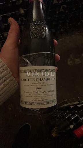 Bourgogne Griotte-Chambertin Grand Cru Domaine Marchand Frères 2010