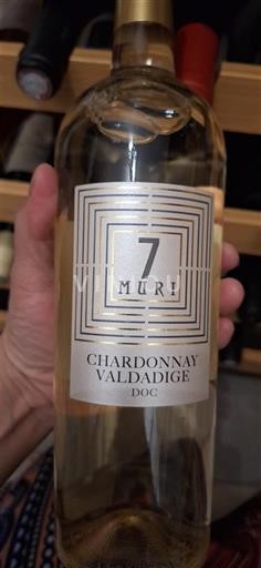 Wines of Veneto Valdadige 7 Muri Non-Vintage