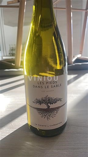 Sudoeste No especificado La Pointe Capbreton Les Pieds Dans Le Sable Sin añada