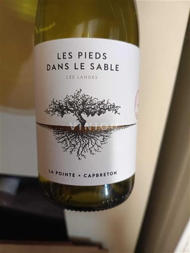 Sud-Vest Nespecificat La Pointe Capbreton Les Pieds Dans Le Sable Nemilésimat