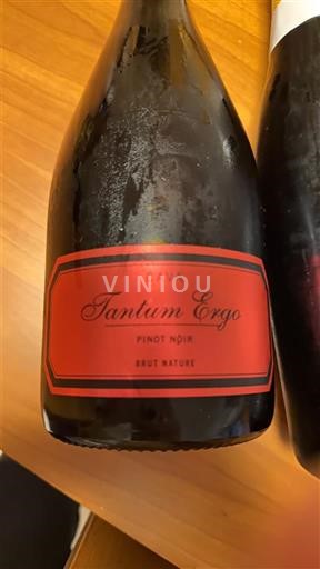 Catalonia Cava Tantum Ergo Pinot Noir Không niên vụ