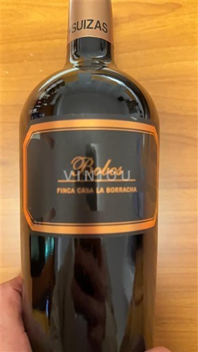 Cộng đồng Valencia Utiel-Requena Pago de las Suertes Bobos Finca Casa La Borracha Không niên vụ