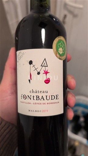 Bordeaux Castillon-côtes-de-bordeaux Château Fontbaude 2019