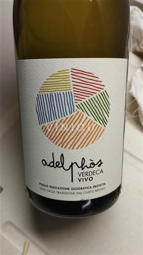 Puglia Không được chỉ định Adelphòs Verdeca Vivo 2024