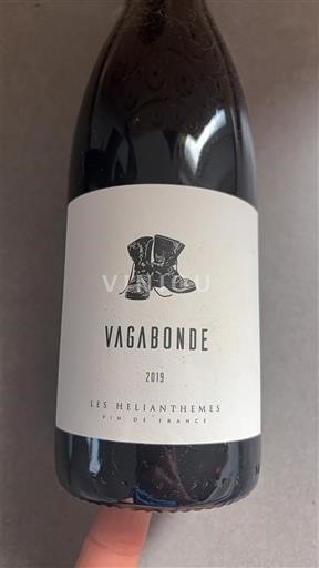 Languedoc Not Specified Les Helianthemes Vagabonde 2019