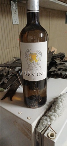 Jugozahod Côtes de Gascogne Gemini 2021