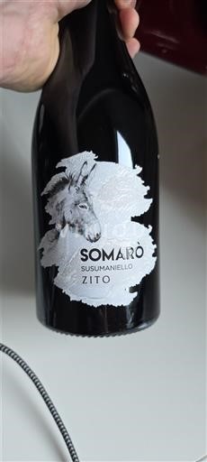 Puglia Susumaniello Salento Zito Somarò Susumaniello 2022