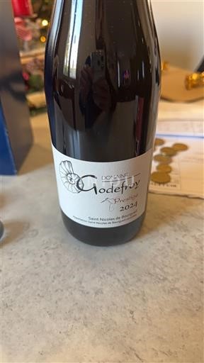 Valle del Loira Saint-Nicolas-De-Bourgueil Domaine Godefroy Prestige 2024