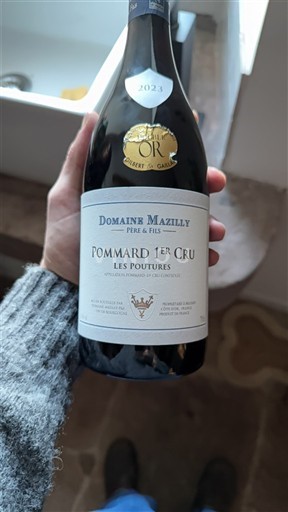 Borgogna Non specificato Premier Cru Domaine Mazilly Père & Fils Les Poutures 2023