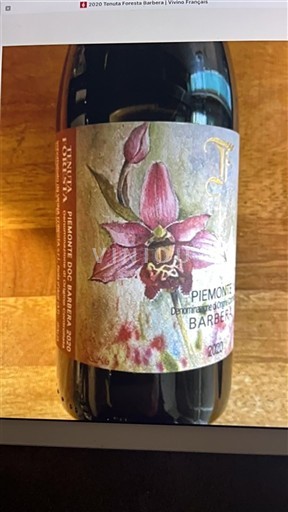 Piemonte Barbera d'Asti Tenuta Foresta 2020 2020