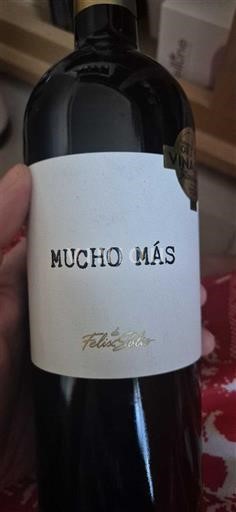 Kastiljija-La Mancha Ni doloceno Felix Solis Mucho Más 2023