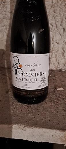 Valle del Loira Saumur Vignoble des Pommiers 2021
