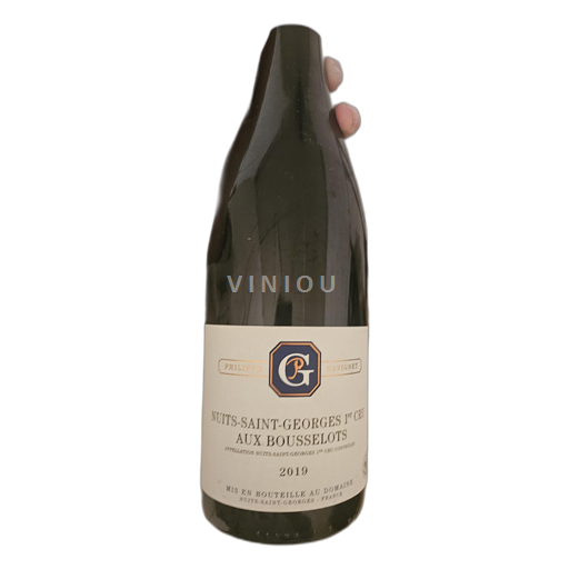 Burgund Nuits-Saint-Georges Philippe Gavignet Aux Bousselots 2019