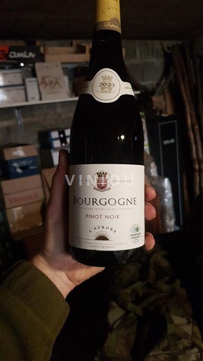 Borgogna Aurore 2023