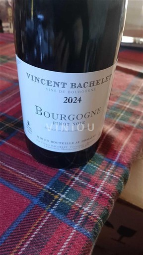 Bourgondië Bourgogne Vincent Bachelet Pinot Noir 2024