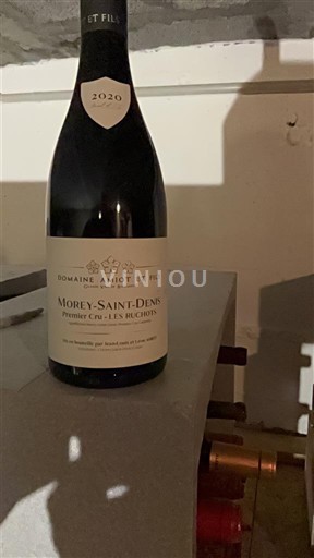 Borgogna Morey-saint-denis Premier Cru Domaine Amiot et Fils Les Ruchots 2020