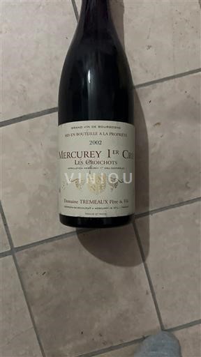 Burgundija Mercurey Premier Cru Domaine Tremeaux Pere & Fils Vieilles vignes 2002