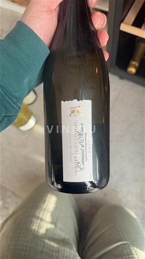 Elzas Crémant d'Alsace Domaine Mittnacht Frères Niet-geïntegreerd