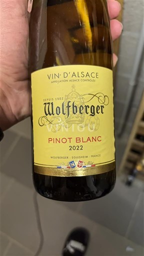 Alsazia Pinot bianco Wolfberger 2022