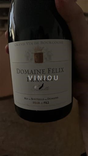 Burgundy Irancy Domaine Félix 2022