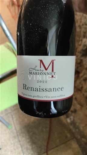 Loiredalen Touraine Henry Marionnet Renaissance 2022