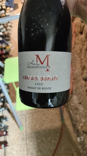 Loiredalen Ospecificerad Henry Marionnet Cépages Oubliés 2022