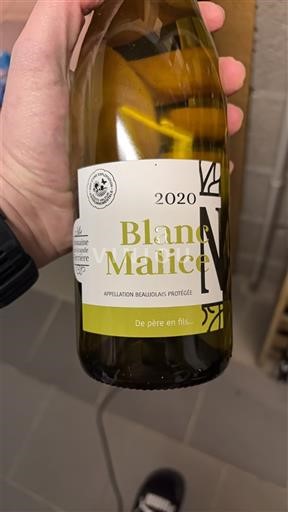 Beaujolais Père en fils Blanc Malice 2020