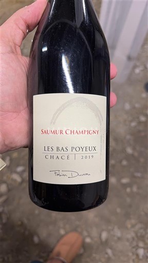 Dolina Loare Saumur-champigny Fabien Duveau Les Bas Poyeux 2019
