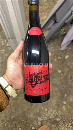 Valle del Ródano Cornas Domaine David Reynaud Les Re_belles 2021