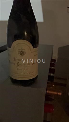 Borgogna Hautes Côtes de Nuits Moillard Pinot noir 2006