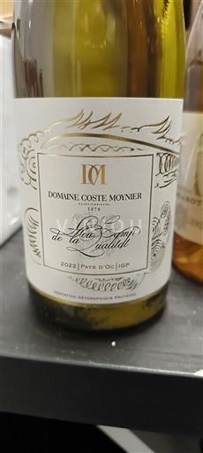Linguadoca e Rossiglione Paese d'Oc Domaine Coste Monyier Lou champ de la 2022