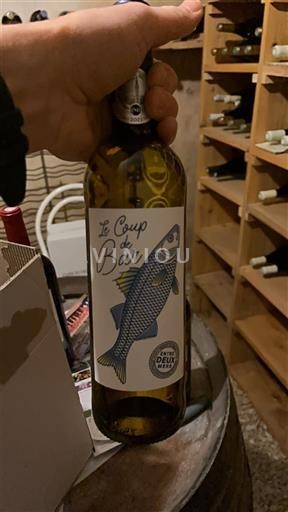 Akvitanska in Charentes Šarentec Les Vignerons de l'Île d'Oléron Le Coup de Bar 2025