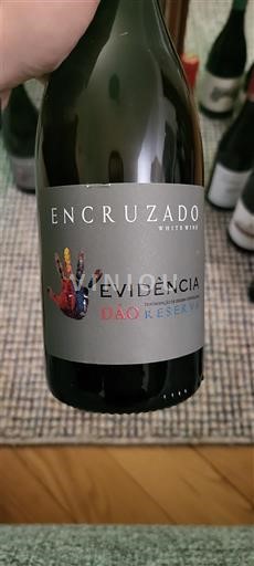 Bồ Đào Nha Dão Evidência 2022