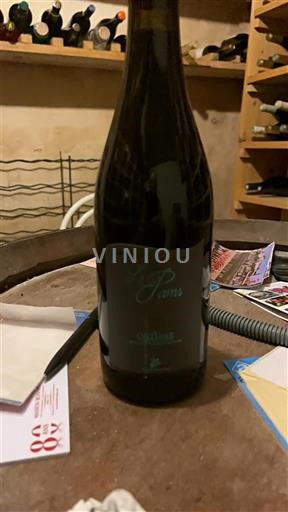 Languedoc and Roussillon Pyrénées-Orientales Le pams Non-Vintage