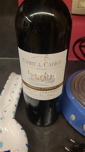 Burdeos Bordeaux superior Esprit de Cadiot 2005